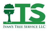 ivans-tree-logo