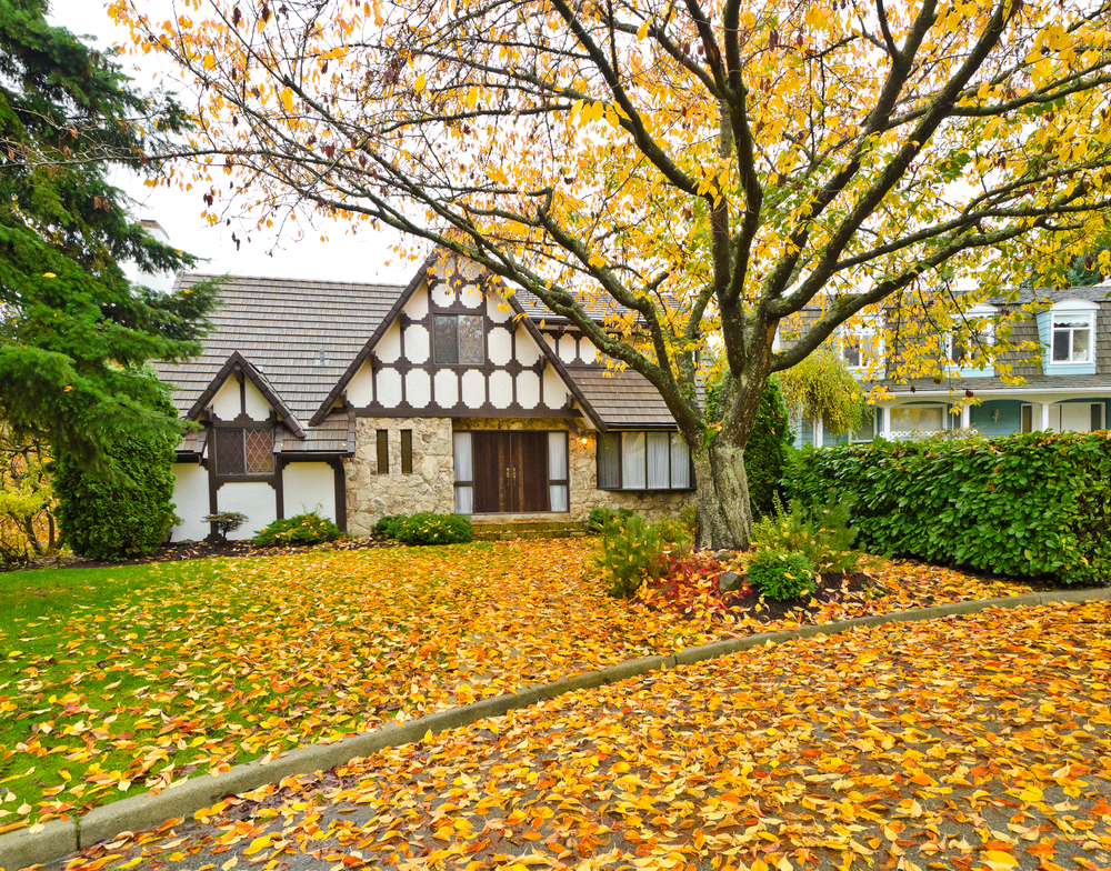Front yard in the fall with orange leaves on the ground